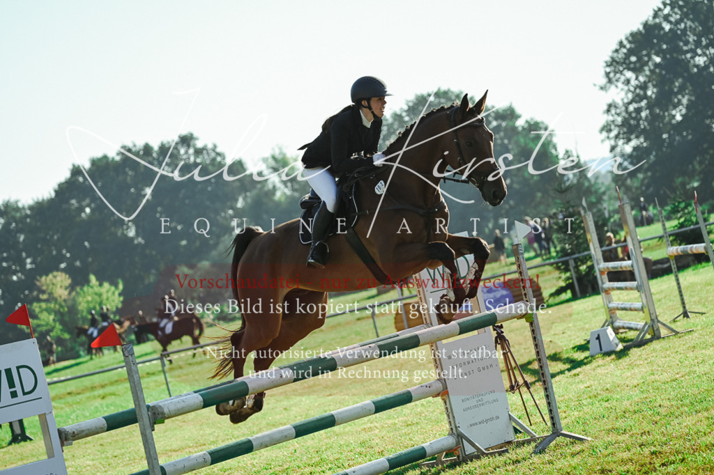 DSC_4533 | Pferde- und Turnierfotografie in Westsachsen. Pferdeportraits, Auftragszeichnungen und intuitive Kunst.