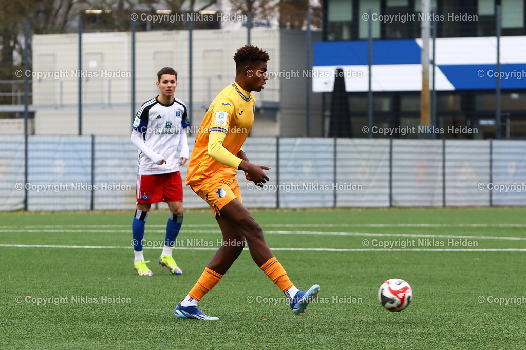 NH_HamburgerSVU19_TSG1899HoffenheimU19_JuniorenDFBPokal_17122023 | #5 Kelven Frees (TSG 1899 Hoffenheim U19)

Viertelfinale I Junioren DFB-Pokal I 17.12.2023