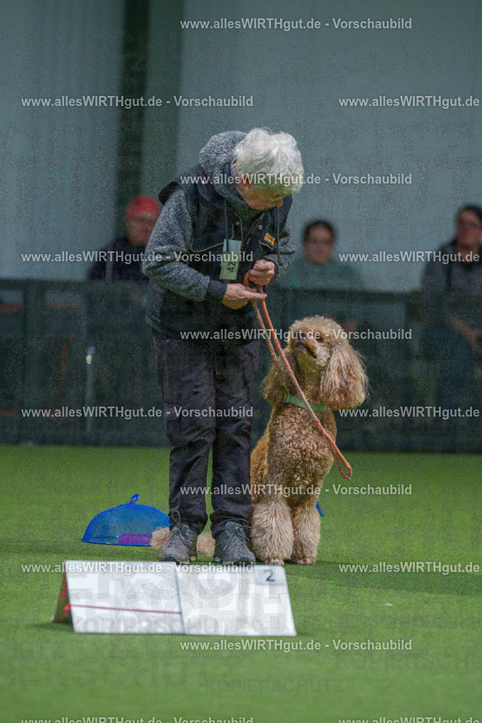 7R500240 | Professionelle Tierfotografie in Mönchengladbach von Daniel Wirth (allesWIRTHgut). Liebevolle & natürliche Bilder von Hunden & Katzen für unvergessliche Erinnerungen.