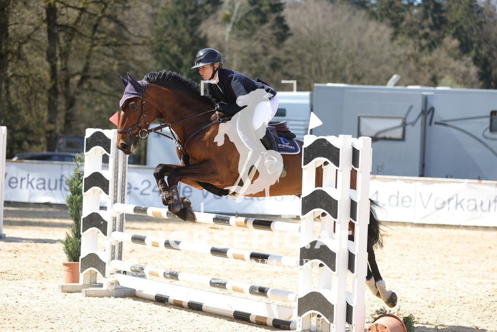 0P6A9817 | Willkommen bei Brunnmayr - Design & Fotografie – Ihrem Spezialisten für Reitturniere und Pferdeveranstaltungen in Oberösterreich, Salzburg und Bayern! Seit über 17 Jahren sind wir leidenschaftlich dabei.