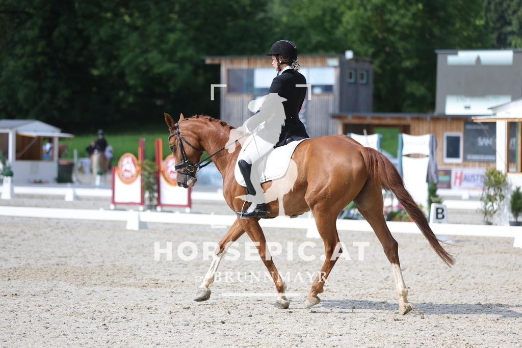 0P6A8979 | Willkommen bei Brunnmayr - Design & Fotografie – Ihrem Spezialisten für Reitturniere und Pferdeveranstaltungen in Oberösterreich, Salzburg und Bayern! Seit über 17 Jahren sind wir leidenschaftlich dabei.