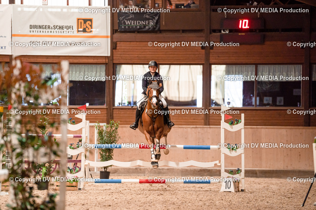 Springen Tag 3-043 | dv-media-shop - Realisiert mit Pictrs.com