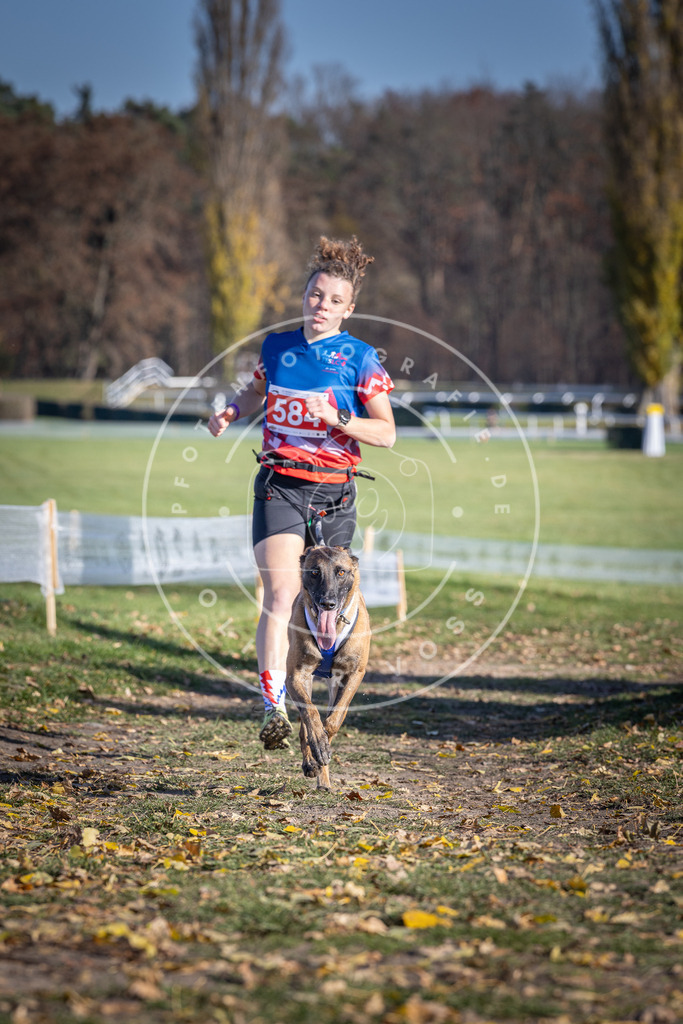 CaniXpix_DV3A9120 | Hundefotografie, Tierfotograf, Pfotenfotografie, Fotoshooting Hund, Hunde Portrait, Hundesport, Hundeportraits, Heideshooting, Hunde, Sportfotograf, Hundefotograf, Turnierhundsport, THS,  - Realisiert mit Pictrs.com