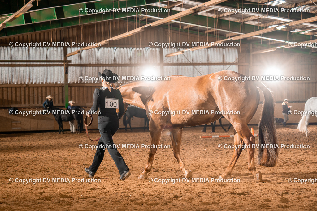 BAL01375 | dv-media-shop - Realisiert mit Pictrs.com