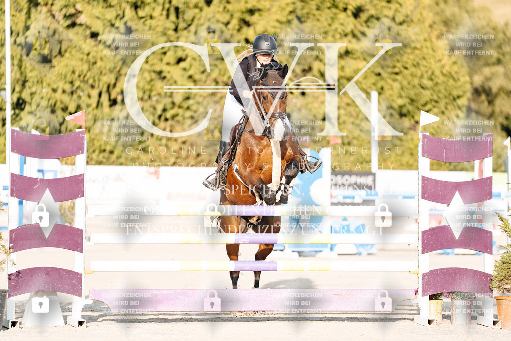 CK900591 | Turnierfotografie Pferdefotografie Trier Rheinland-Pfalz Pferdesport Reitsport Tierfotografie Sportfotografie Pferdevideo Pferdevideografie Equestrianvideography equestrianphotography  - Realisiert mit Pictrs.com