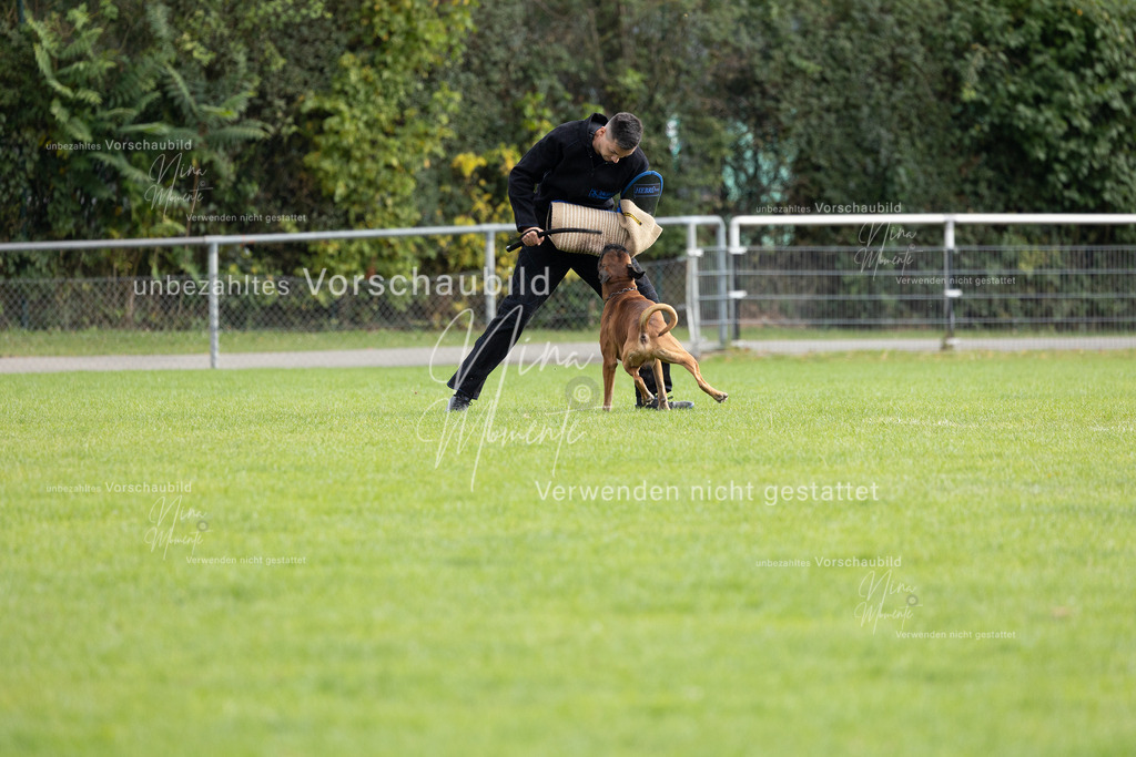 _16A7053 | Einzigartige Fotos von Hunden & Menschen –Actionfotos, Portraits, Vereinsaufnahmen & Paarshootings – authentisch, lebendig & mit Herz.