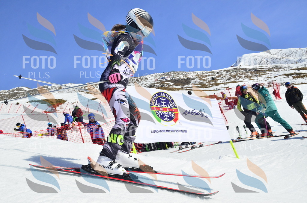 _ELE0333 | holidayphoto