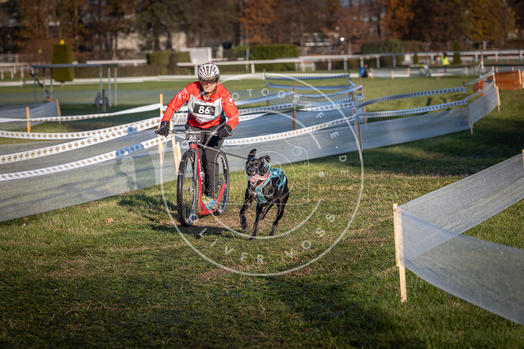 CaniXpix_0L8A3786 | Hundefotografie, Tierfotograf, Pfotenfotografie, Fotoshooting Hund, Hunde Portrait, Hundesport, Hundeportraits, Heideshooting, Hunde, Sportfotograf, Hundefotograf, Turnierhundsport, THS,  - Realisiert mit Pictrs.com