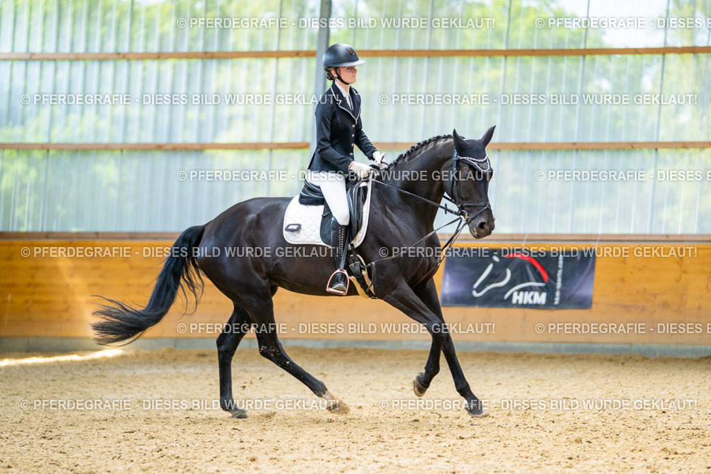 DSC09342 | Pferdegrafie