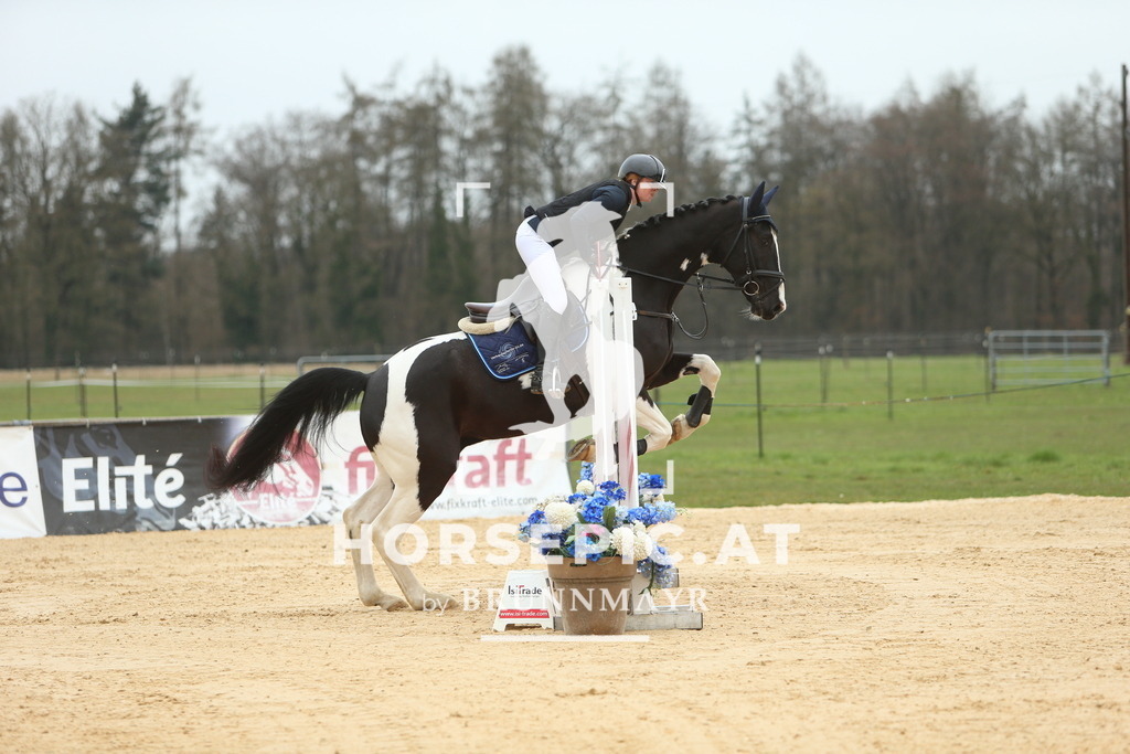 DL2Q1334 | Willkommen bei Brunnmayr - Design & Fotografie – Ihrem Spezialisten für Reitturniere und Pferdeveranstaltungen in Oberösterreich, Salzburg und Bayern! Seit über 17 Jahren sind wir leidenschaftlich dabei.