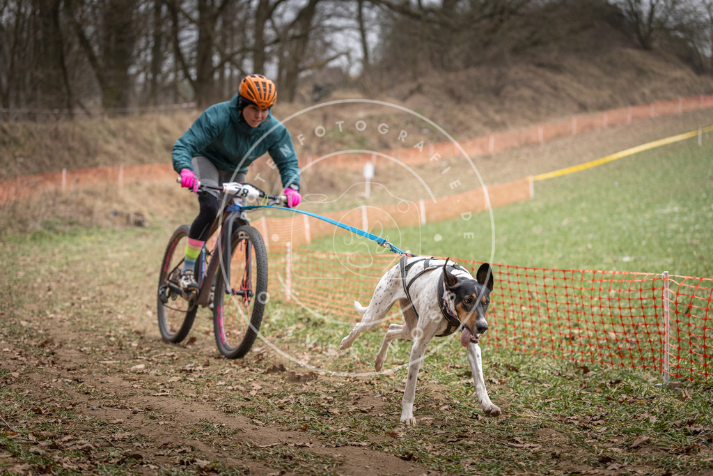 Pfotenfotografie_DV3A5092 | Hundefotografie, Tierfotograf, Pfotenfotografie, Fotoshooting Hund, Hunde Portrait, Hundesport, Hundeportraits, Heideshooting, Hunde, Sportfotograf, Hundefotograf, Turnierhundsport, THS,  - Realisiert mit Pictrs.com