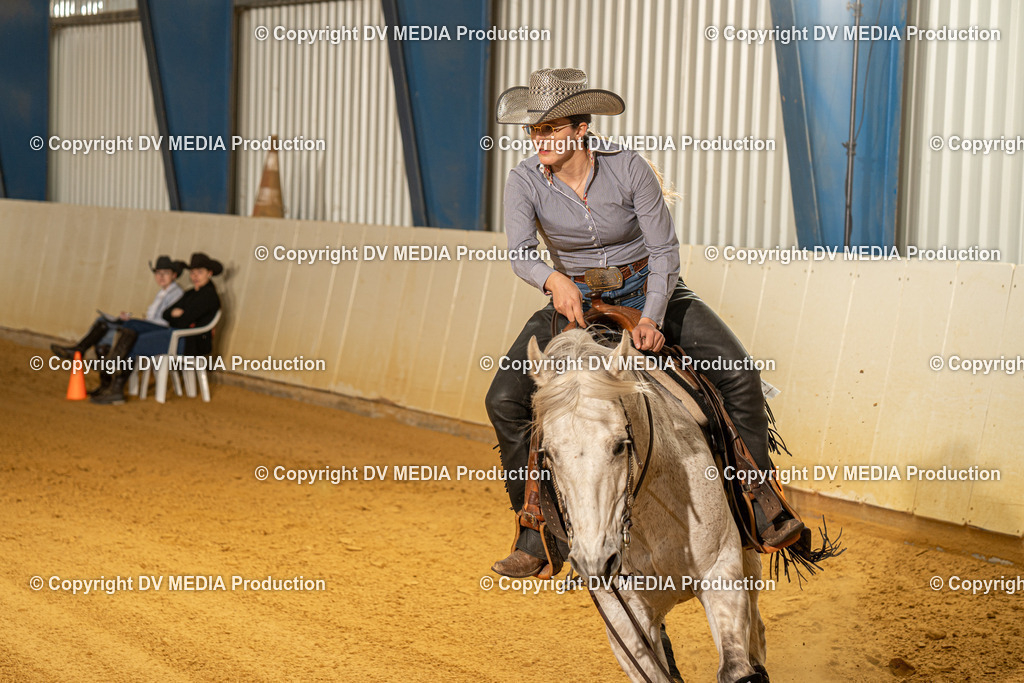 MIT00565 | dv-media-shop - Realisiert mit Pictrs.com