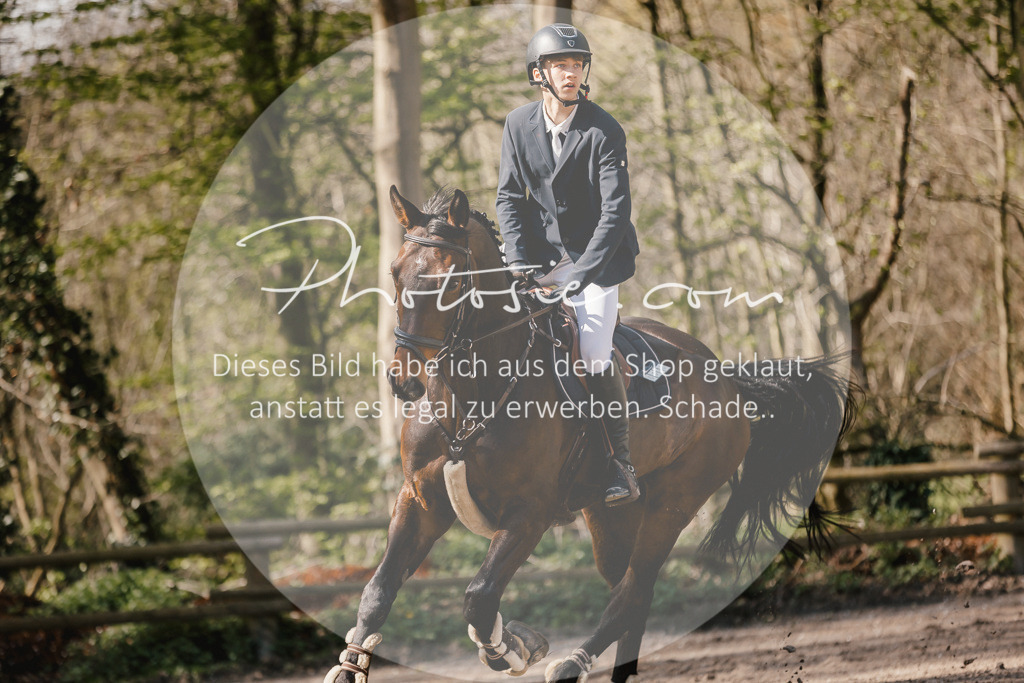 3I6A4066 | Stimmungsvolle Portraits und Reitsportfotografie im Ruhrgebiet und im Münsterland.

Pferdefotografie, Hundefotografie, Tierfotografie, Reportagen, Portraits von Tier und Mensch, Turnierfotografie in Bochum, Recklinghausen, Marl, Haltern am See, Dülmen.. - Realisiert mit Pictrs.com