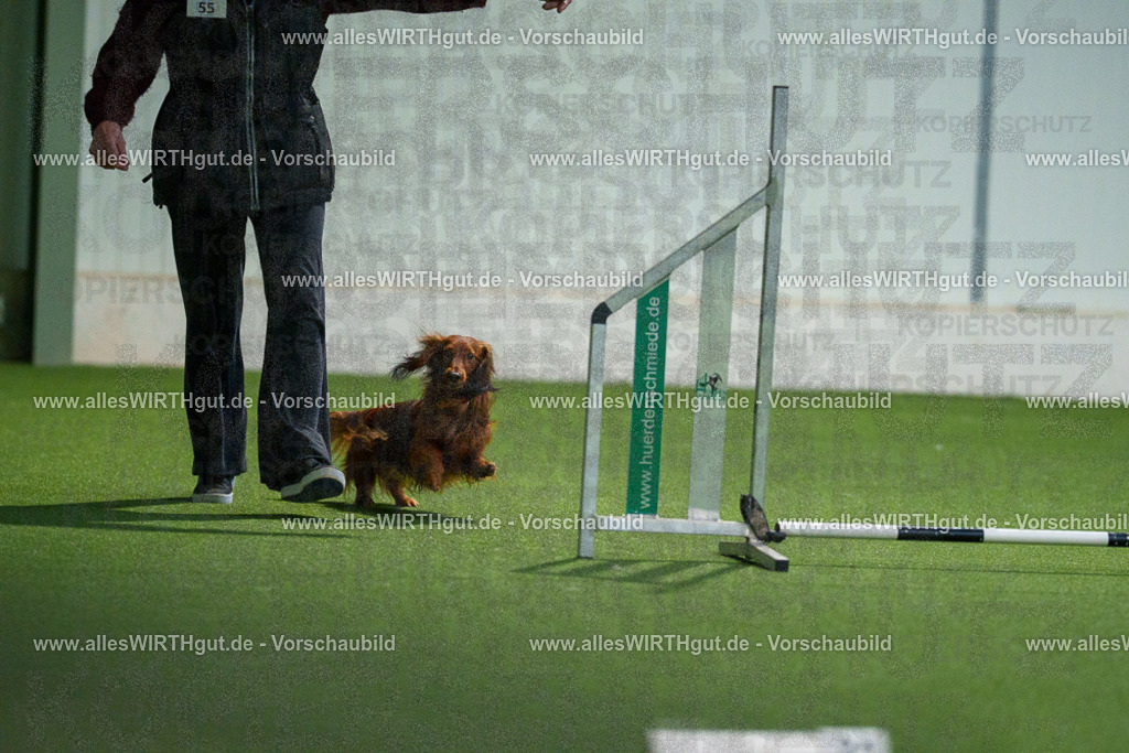 7R506891 | Professionelle Tierfotografie in Mönchengladbach von Daniel Wirth (allesWIRTHgut). Liebevolle & natürliche Bilder von Hunden & Katzen für unvergessliche Erinnerungen.