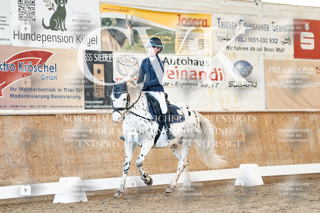 CK906884 | Turnierfotografie Pferdefotografie Trier Rheinland-Pfalz Pferdesport Reitsport Tierfotografie Sportfotografie Pferdevideo Pferdevideografie Equestrianvideography equestrianphotography  - Realized with Pictrs.com
