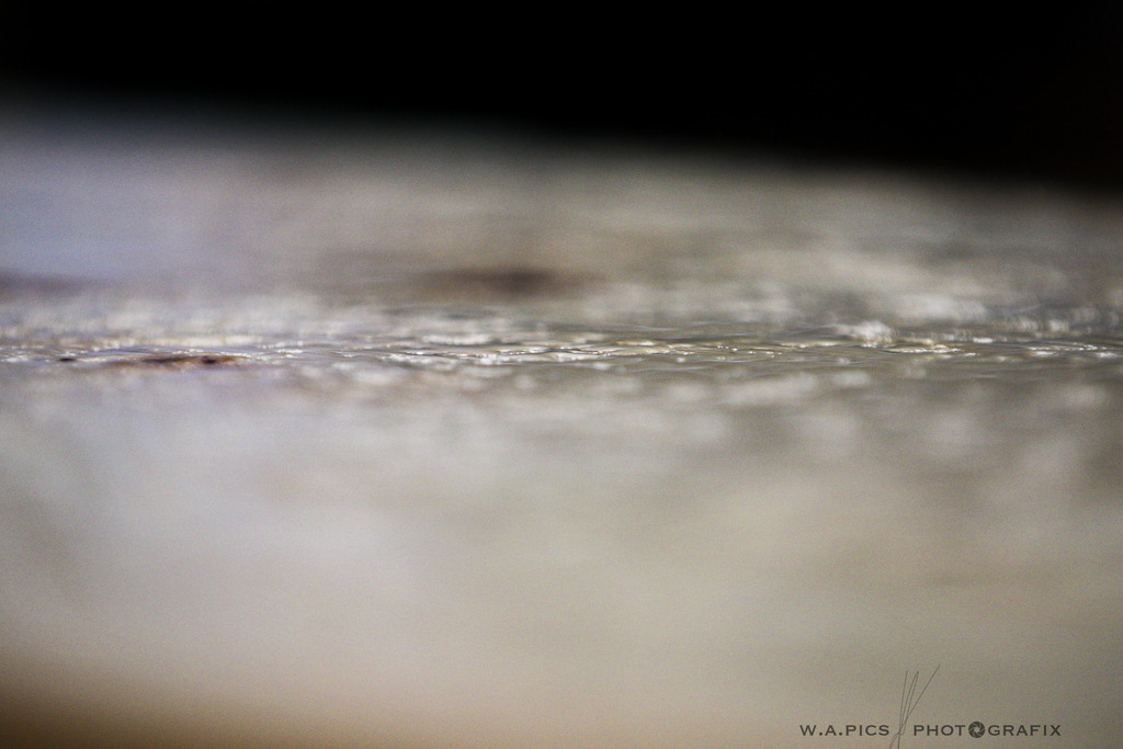 AW_20230617awmac7732 | Prambachkirchen, AUSTRIA, 17.06.2023 - 12h Benefizlauf Prambachkirchen, Image shows: Photo: WAPICS / Andreas Willdoner