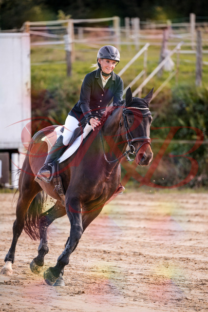 2026_10_03_Siefer-Hof_144107_Z81_13303407 | Professionelle Reitsport-, Turnier- und Eventfotografie von Robert Broda. Galerien mit ausgewählten und bearbeiteten Bildern direkt online ansehen und bestellen.