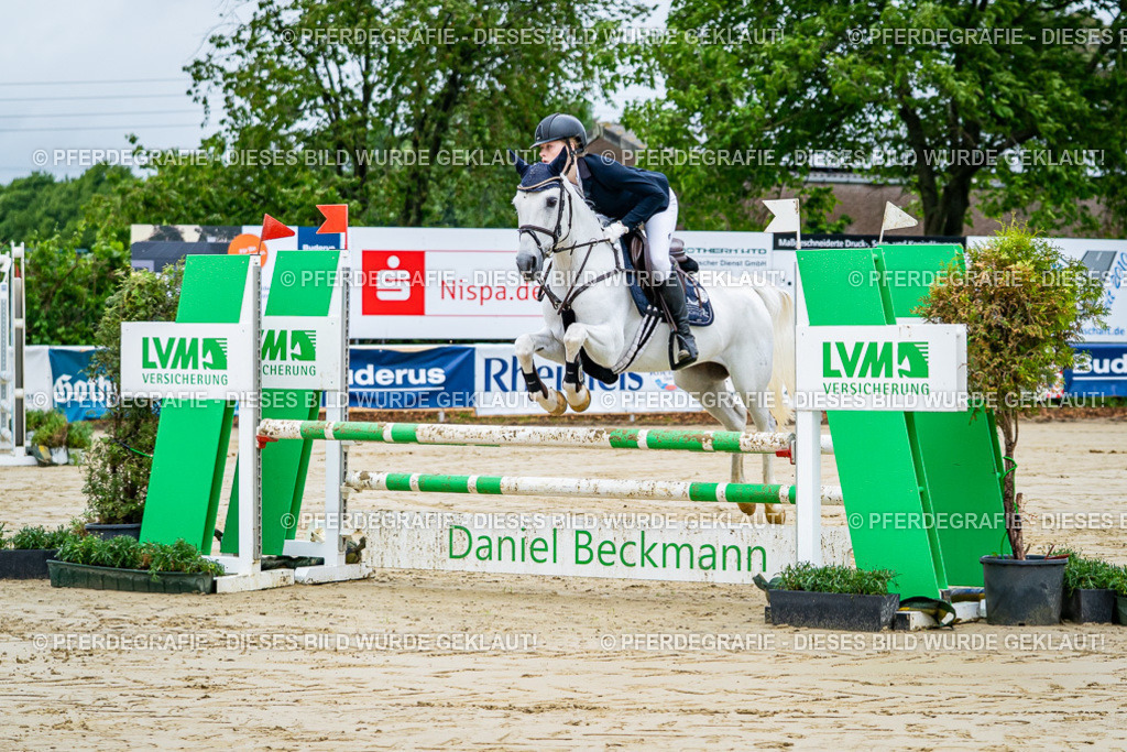 DSC01676 | Pferdegrafie