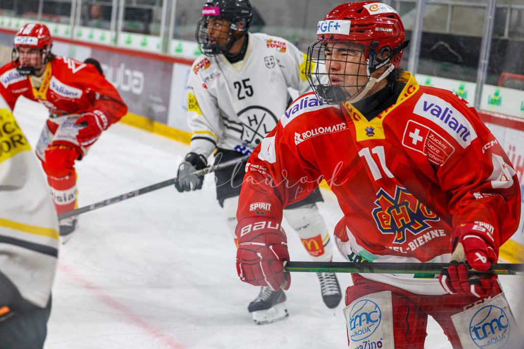 701A3010 | Sportbilder, Sportfotograf, Hochzeits- und Eventfotografin, Flugshows, Portraits und Tiershooting, Aviation, Downhill, Nationalleague, Swissleague, International