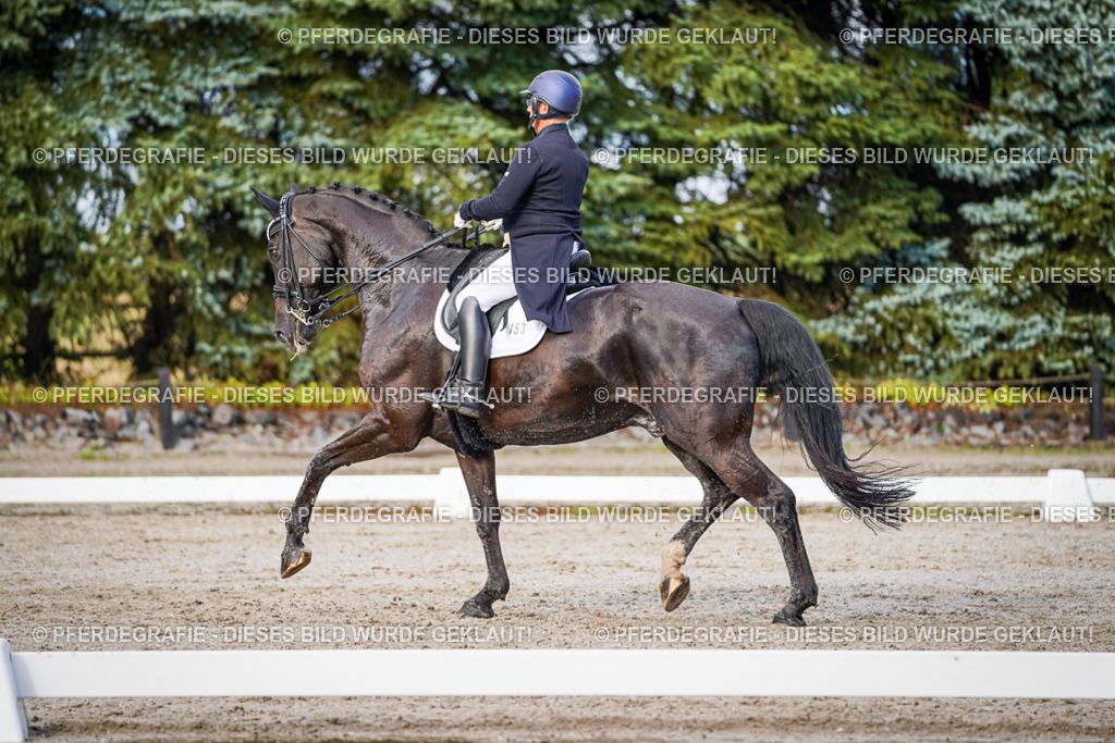 DSC00450 | Pferdegrafie