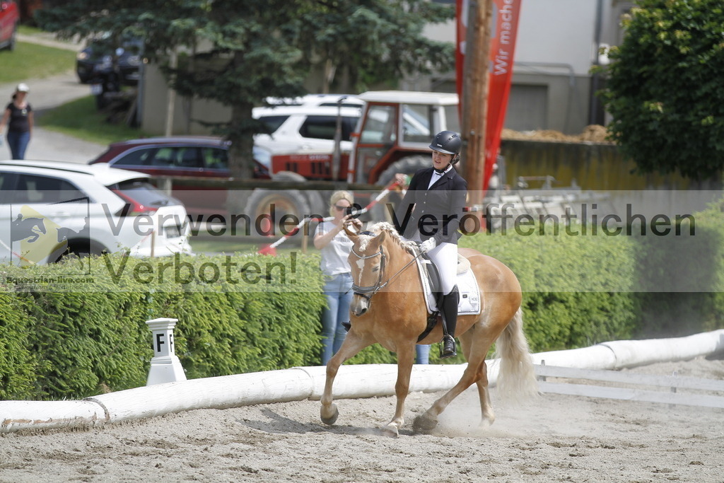 _MG_8737 | equestrian-live-com