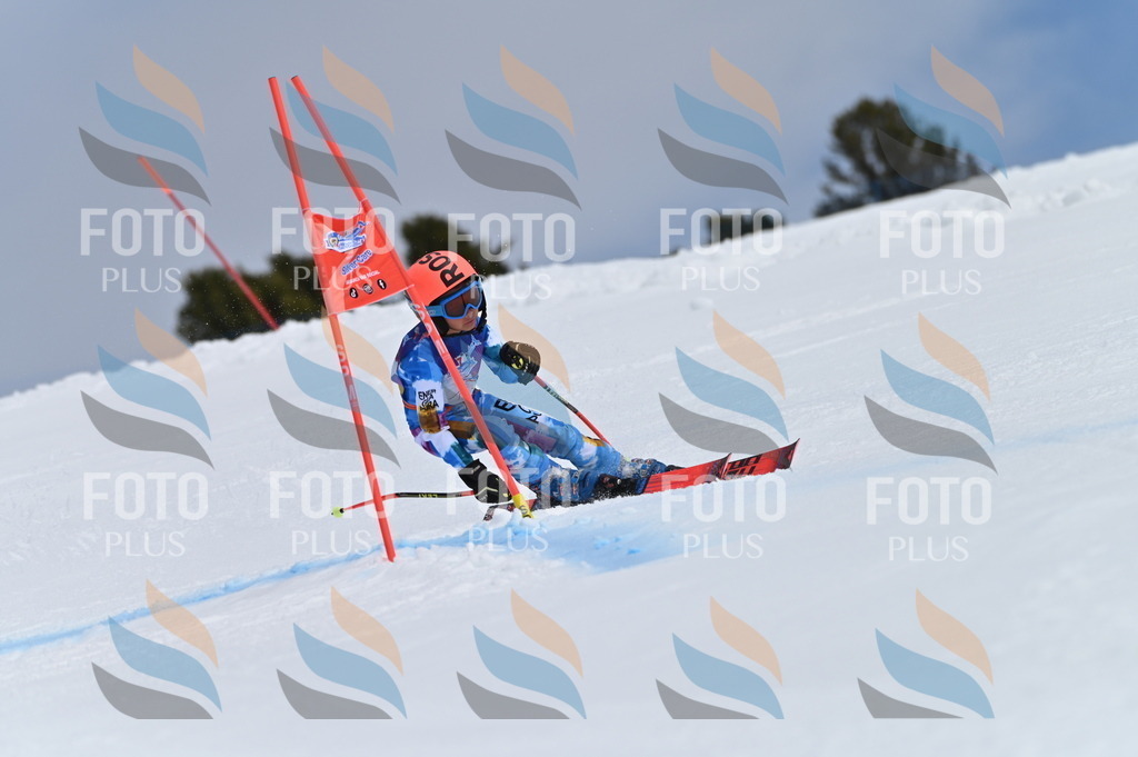 BGV_0866 | holidayphoto