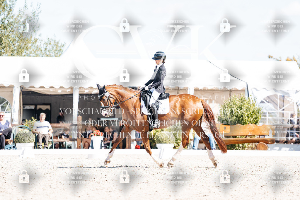 CK904055 | Turnierfotografie Pferdefotografie Trier Rheinland-Pfalz Pferdesport Reitsport Tierfotografie Sportfotografie Pferdevideo Pferdevideografie Equestrianvideography equestrianphotography  - Realisiert mit Pictrs.com