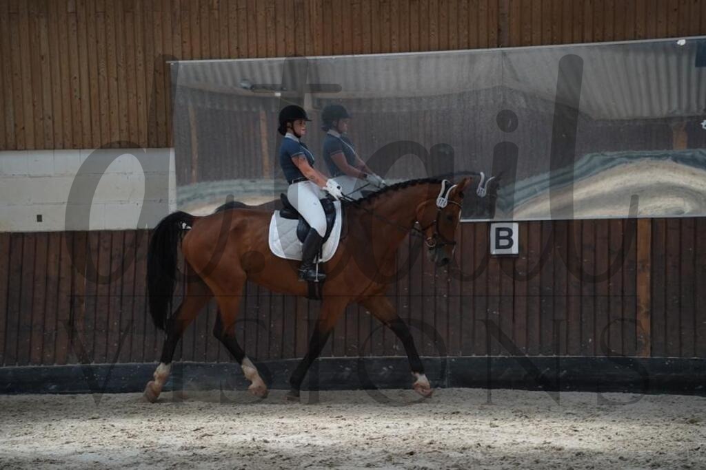 beckingen (973) | d.tail Visions - Shop - Realisiert mit Pictrs.com