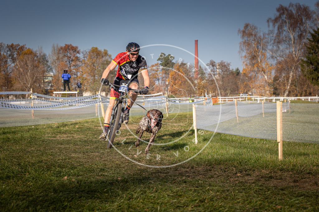 CaniXpix_0L8A7031 | Hundefotografie, Tierfotograf, Pfotenfotografie, Fotoshooting Hund, Hunde Portrait, Hundesport, Hundeportraits, Heideshooting, Hunde, Sportfotograf, Hundefotograf, Turnierhundsport, THS,  - Realisiert mit Pictrs.com