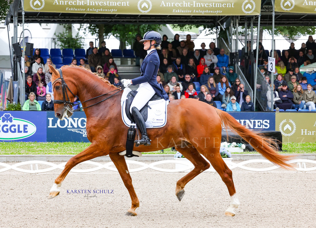 1B3A7213 | Reitsport Reiten
