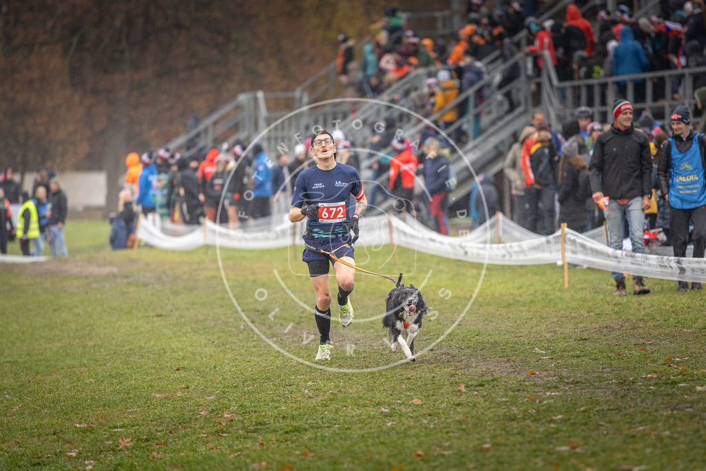 CaniXpix_DV3A0015 | Hundefotografie, Tierfotograf, Pfotenfotografie, Fotoshooting Hund, Hunde Portrait, Hundesport, Hundeportraits, Heideshooting, Hunde, Sportfotograf, Hundefotograf, Turnierhundsport, THS,  - Realisiert mit Pictrs.com