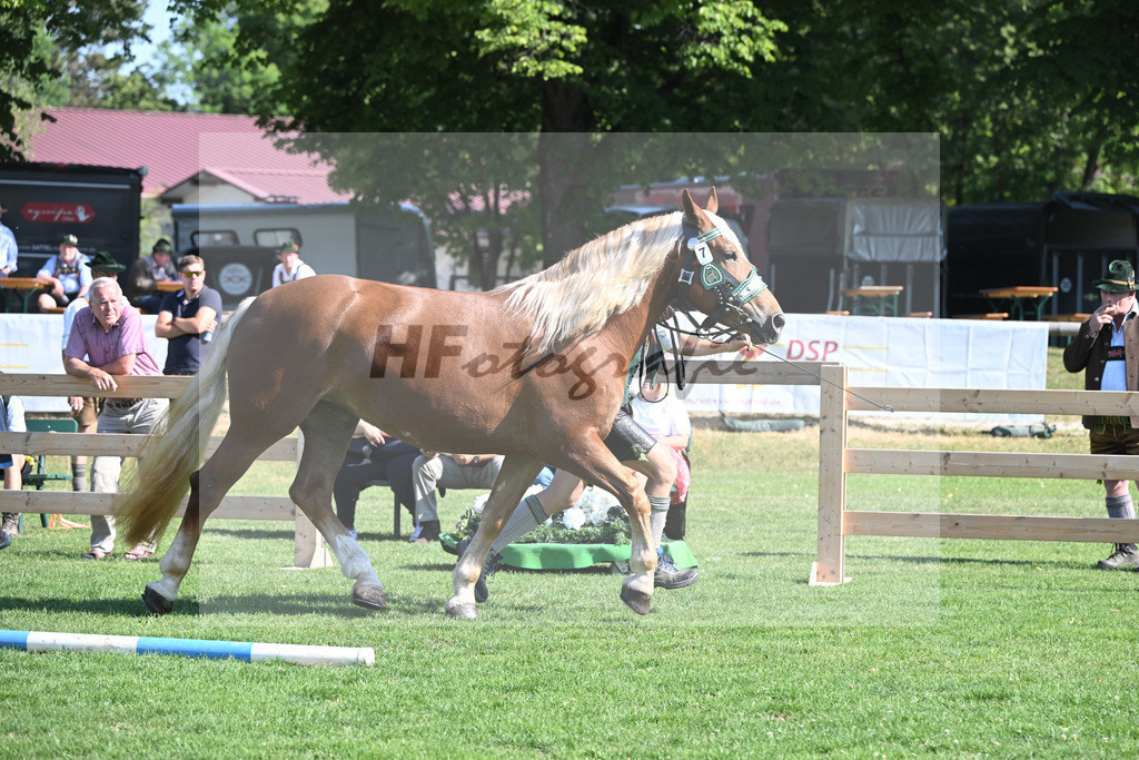 Kat-Nr. 7 Marie_Hartl_20230089 | hf-fotografie - Realisiert mit Pictrs.com