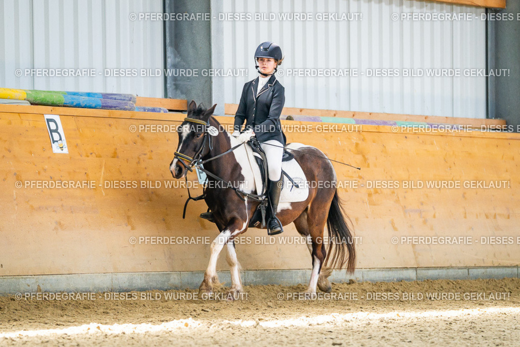 DSC03372 | Pferdegrafie