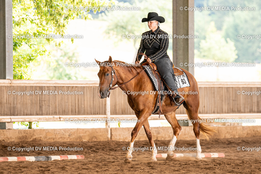 Erbach Tag 1-233 | dv-media-shop - Realisiert mit Pictrs.com