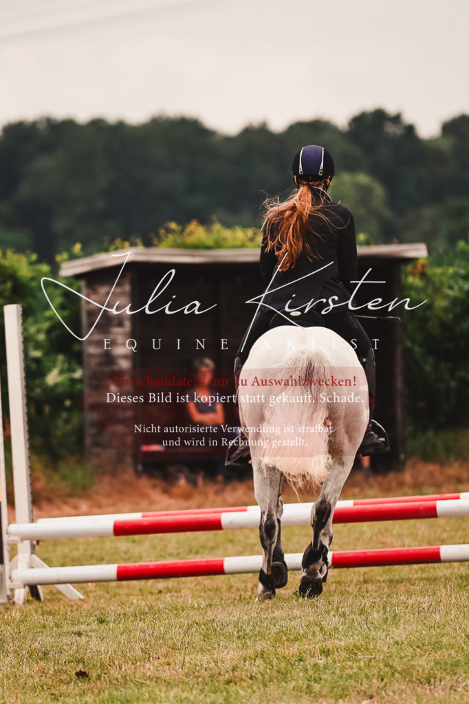 DSC_6980 | Pferde- und Turnierfotografie in Westsachsen. Pferdeportraits, Auftragszeichnungen und intuitive Kunst.