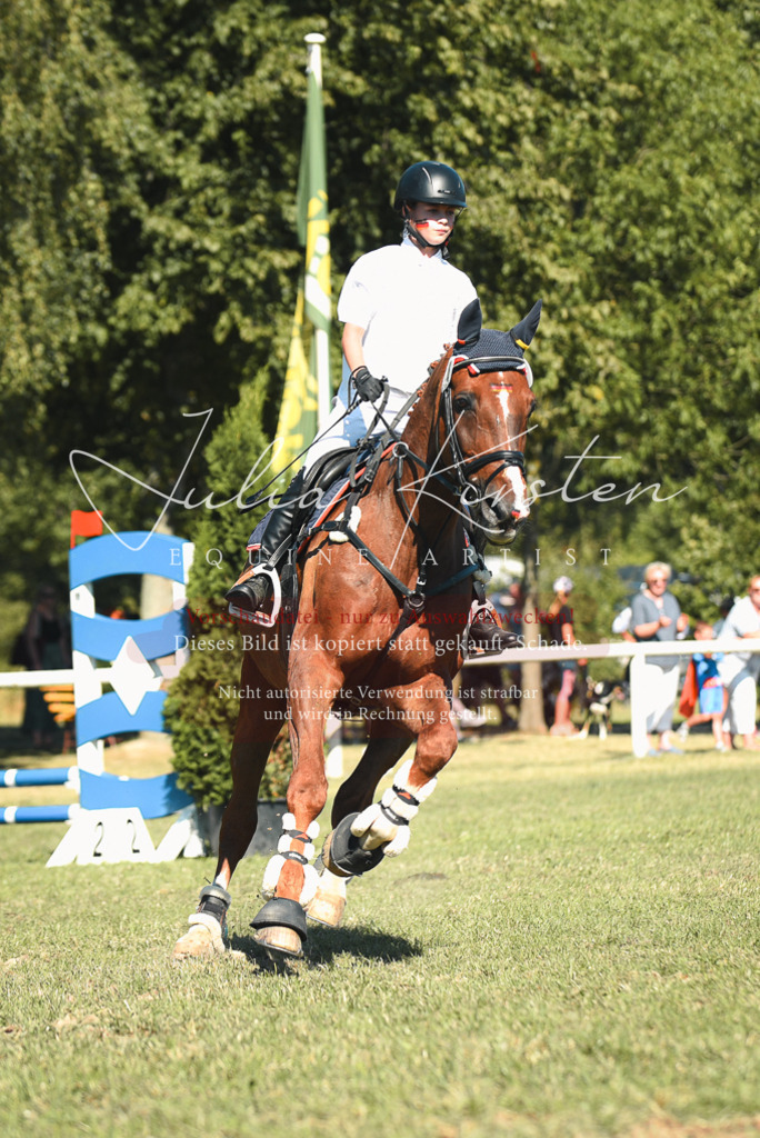 DSC_7630 | Pferde- und Turnierfotografie in Westsachsen. Pferdeportraits, Auftragszeichnungen und intuitive Kunst.