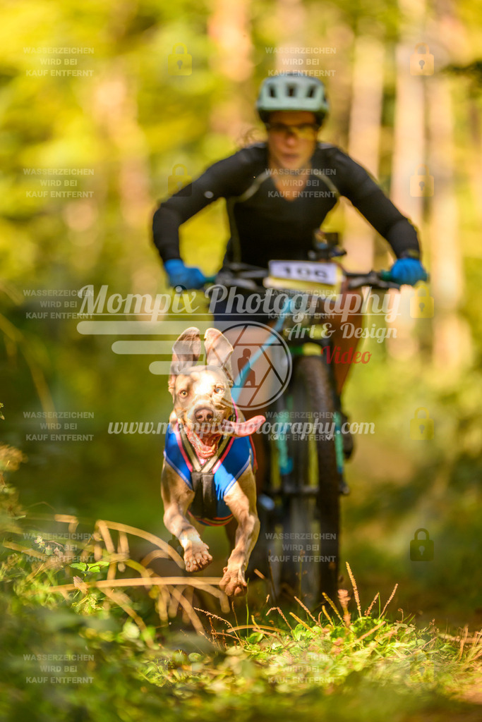 MompixPhotography_Yens2025_B2-91 | PayLife