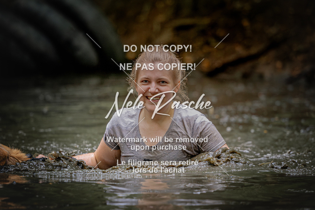 nelerasche_SaWingst1200-1230_186 | nelerasche