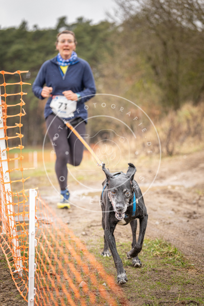 DV3A0235 | Hundefotografie, Tierfotograf, Pfotenfotografie, Fotoshooting Hund, Hunde Portrait, Hundesport, Hundeportraits, Heideshooting, Hunde, Sportfotograf, Hundefotograf, Turnierhundsport, THS,  - Realisiert mit Pictrs.com