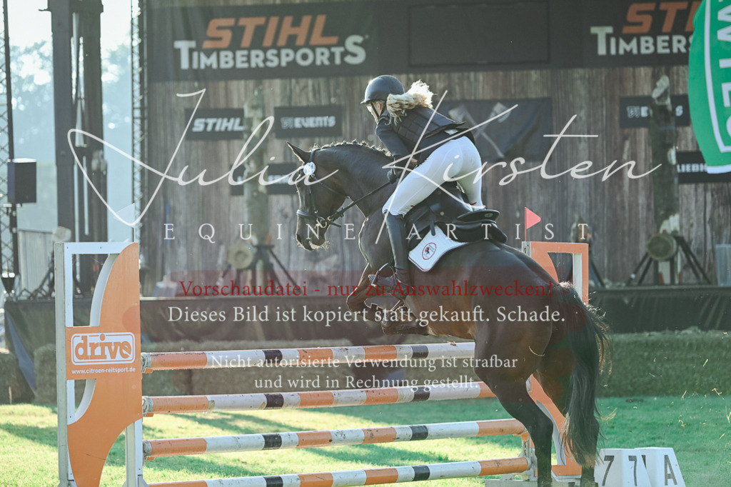 DSC_4224 | Pferde- und Turnierfotografie in Westsachsen. Pferdeportraits, Auftragszeichnungen und intuitive Kunst.