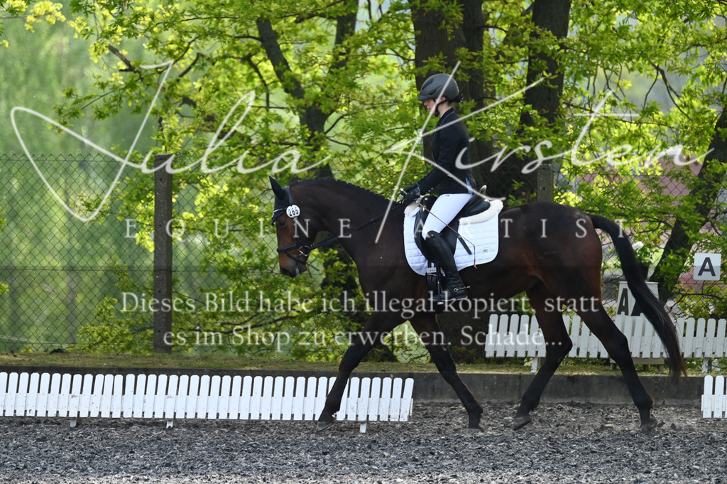 20230512_JK-Röhrsdorf-01-085 | Pferde- und Turnierfotografie in Westsachsen. Pferdeportraits, Auftragszeichnungen und intuitive Kunst.