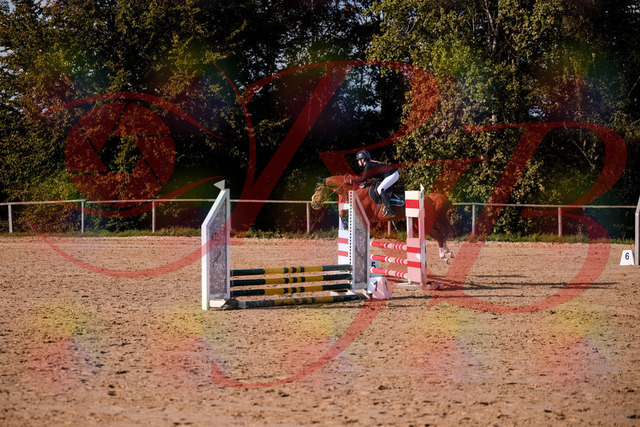 2026_10_03_Siefer-Hof_155815_Z81_78121878 | Professionelle Reitsport-, Turnier- und Eventfotografie von Robert Broda. Galerien mit ausgewählten und bearbeiteten Bildern direkt online ansehen und bestellen.