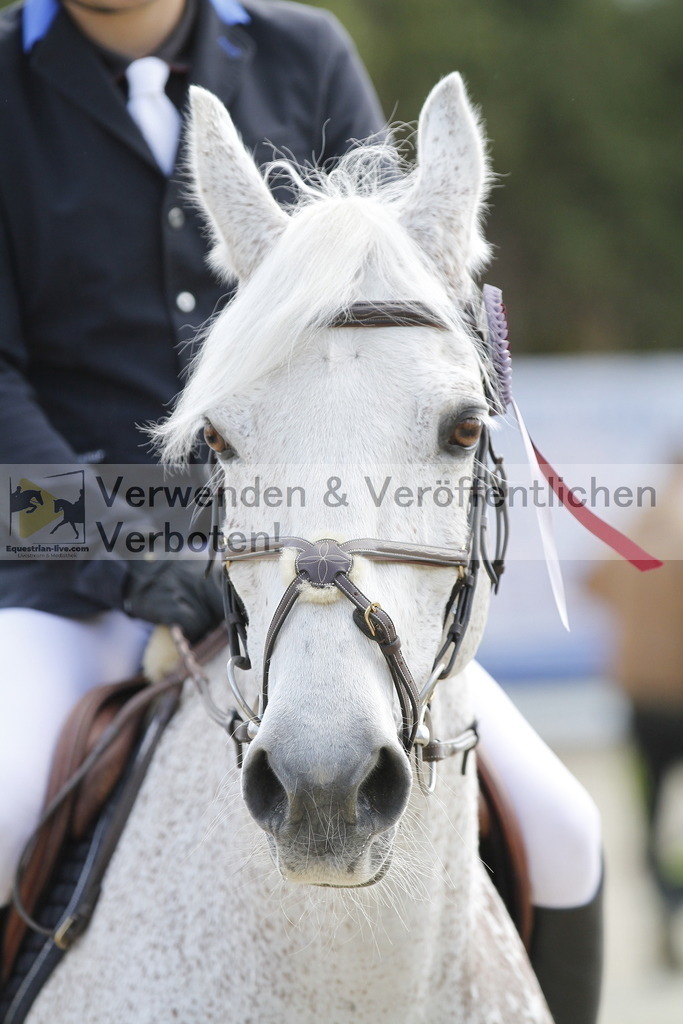 _MG_7281 | equestrian-live-com