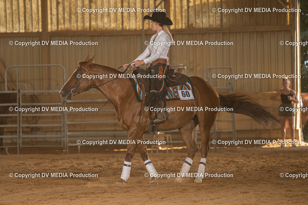 NID03740 | dv-media-shop - Realisiert mit Pictrs.com