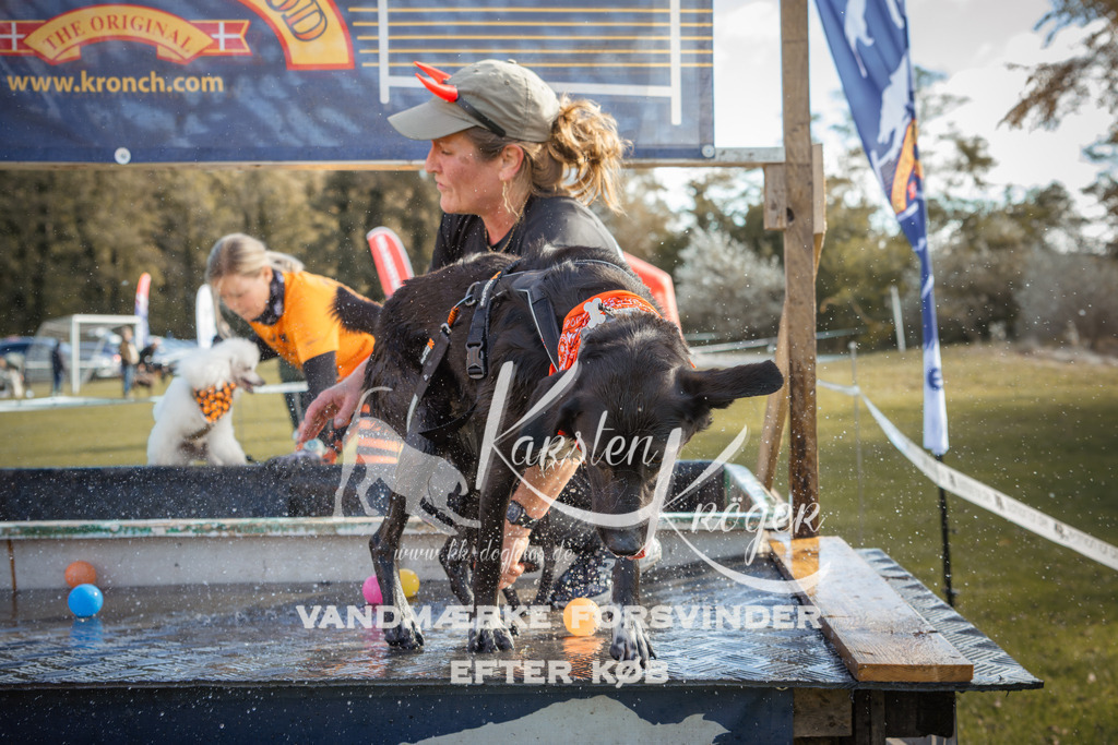 1307_ZZ99214-2 | kk-dogfotos