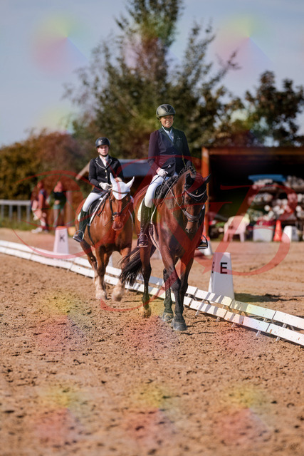 2026_10_03_Siefer-Hof_130036_Z81_51447285 | Professionelle Reitsport-, Turnier- und Eventfotografie von Robert Broda. Galerien mit ausgewählten und bearbeiteten Bildern direkt online ansehen und bestellen.