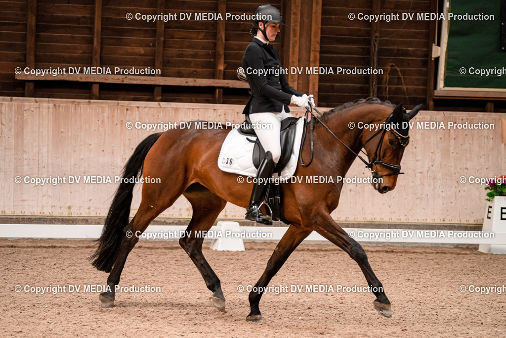 Dressur Tag 2-116 | dv-media-shop - Realisiert mit Pictrs.com