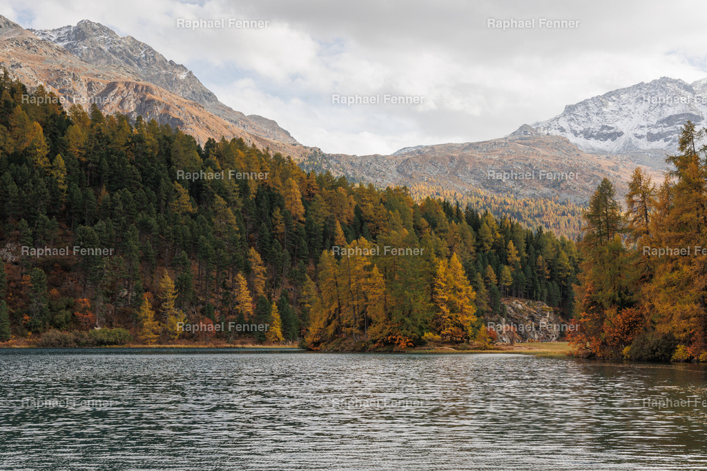 IMG_9597 | Erlebe eindrucksvolle Landschaftsfotografie aus dem Engadin und darüber hinaus. Raphael Fenner bietet zudem professionelle Fotoaufträge für Hochzeiten, Porträts und Unternehmen. Jetzt entdecken und inspirieren lassen!