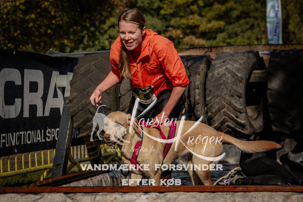 1304_ZZ91830 | kk-dogfotos