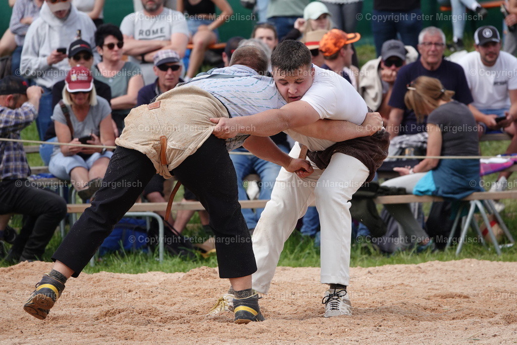 DSC01037 | Schwingen - Realisiert mit Pictrs.com